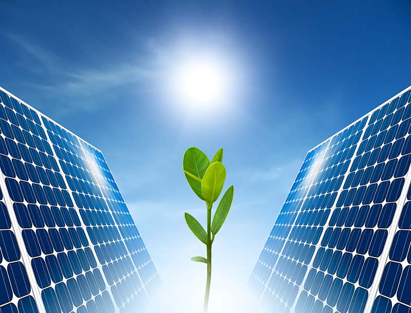 des panneaux solaires écologiques